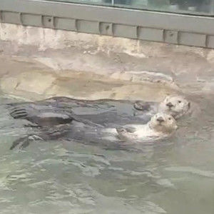 Meet your Posher, Brandi